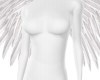 Wings Angel White