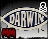 Darwin fish sticker