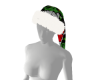 Grinch hat