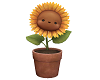 Sunflower pot