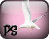 ~PS~Seagulls Enhancers