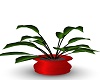 red vase plant