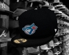 Toronto BlueJay Hat Back