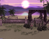XO- Beach Purple