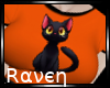 |R| Halloween Kitten