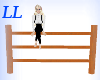 LL: Wooden fence 2 poses