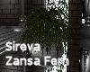 Sireva Zansa Fern 