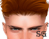 Hair Ginger