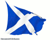 (MDiva)Scottish Flagwave