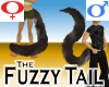 Fuzzy Tail -Medium v1a