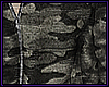 #CAMO_#ZIP_#SWAG_