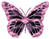 pink butterfly