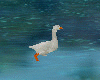 ~CR~Animate Swim Goose