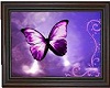 Purple Butterfly framed