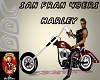 San Fran 49ers Harley