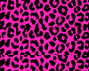 Pink leopard collar