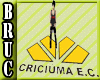 Criciuma Sign Down Logo