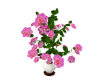 Animated Roses in Vase