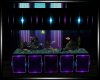 BB|Neon Aquarium