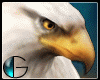 |IGI| Eagle Pet  F