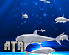Shark Pet Animated ®