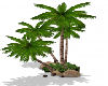 Gig-Oasis Palms v2