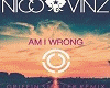-am-i-wrong-gryffin-RMX