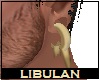 Libulan Ear Plugs