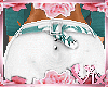 {VD}BREE Z CAPRIS~REP