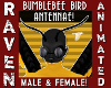 (MF) BUMBLEBEE ANTENNAE!