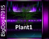 [BD]Plant1