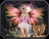 [ang]Glory Fairy Wings