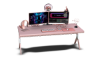 Pink Gamer's Desk