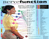 LUVI NERVE FUCTION CHART