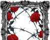 *T* Red Rose Barbed Wire