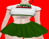 Mexico Falda V