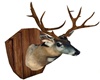 RS JUNGLE Deer wall head