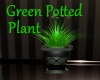 [BD]GreenPottedPlant