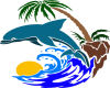 Dolphin in Paradise