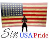 USA Pride