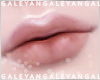 A | My zell lips v3