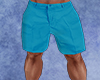 Ocean Blue Shorts