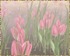 animated spring tulips