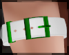 + Arm Belt Emerald R