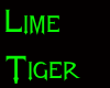 Lime Tiger Tail