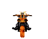 Ghost Rider bundle