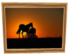 sunset horses
