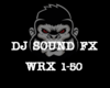 DJ FX WRX