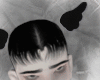 head wings