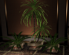 ~LS~ Intimate Plant